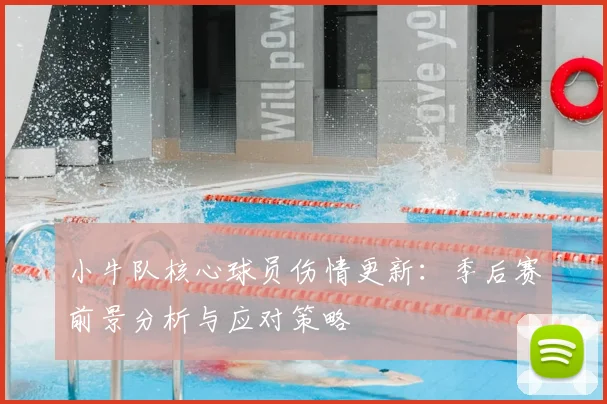 小牛队核心球员伤情更新：季后赛前景分析与应对策略